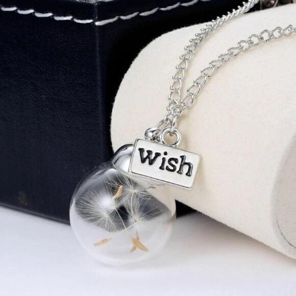 5/$25 Wish Bottle Real Dandelion Seeds Necklace - Picture 1 of 15